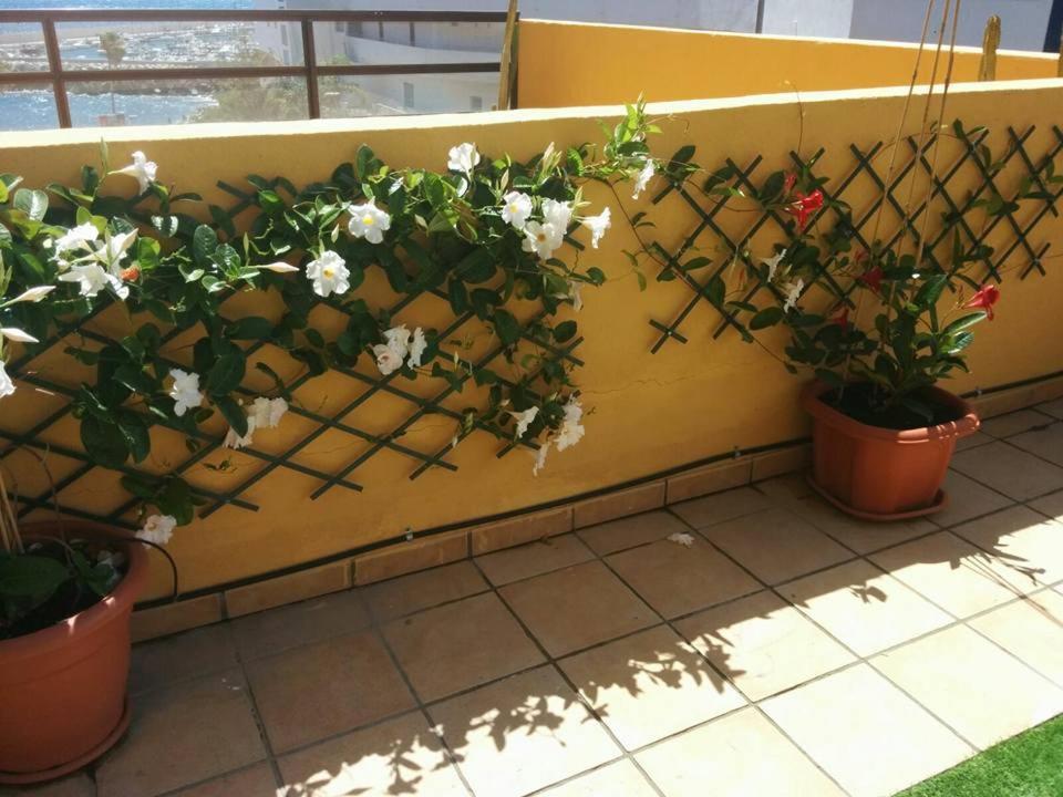 431 - Edif Aguamarina - Vacation Rental Home In The Coast Line Of Golf Del Sur San Miguel de Abona Eksteriør bilde
