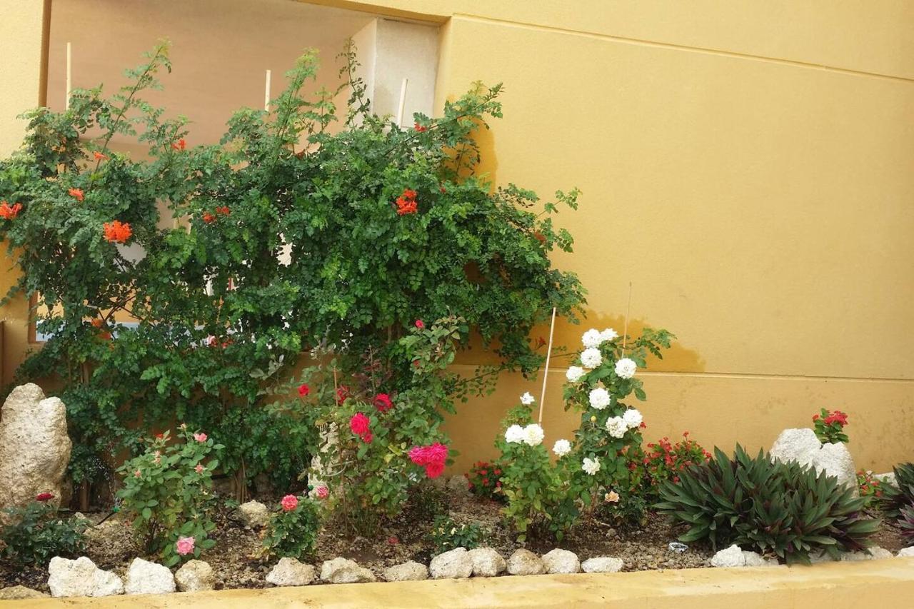 431 - Edif Aguamarina - Vacation Rental Home In The Coast Line Of Golf Del Sur San Miguel de Abona Eksteriør bilde